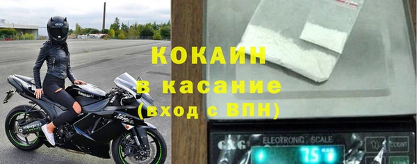 индика Майский