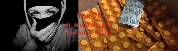 индика Майский