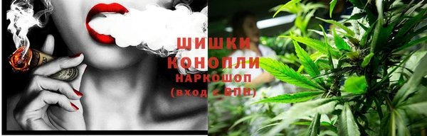 шишки Липки