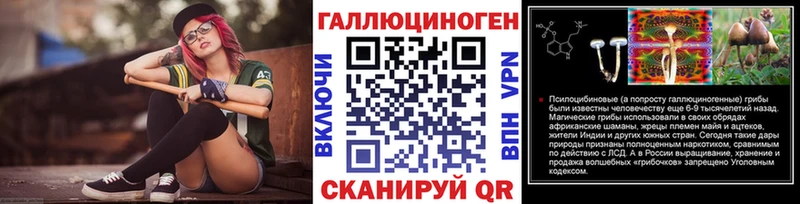Галлюциногенные грибы Psilocybe  Ликино-Дулёво 
